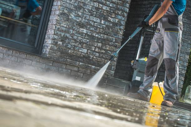 Best House Exterior Washing  in Mackinaw, IL
