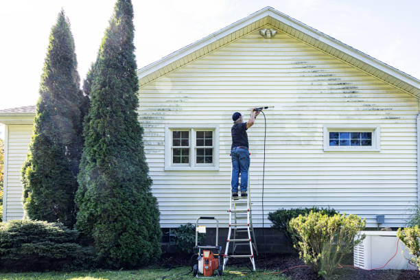Best Fence Cleaning  in Mackinaw, IL